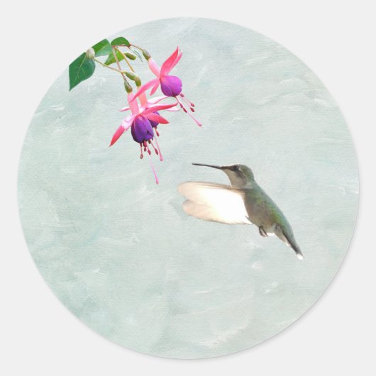 Colibri et Autocollant Fuschia (Devant)