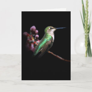 Colibri et Fleur pensent à votre carte