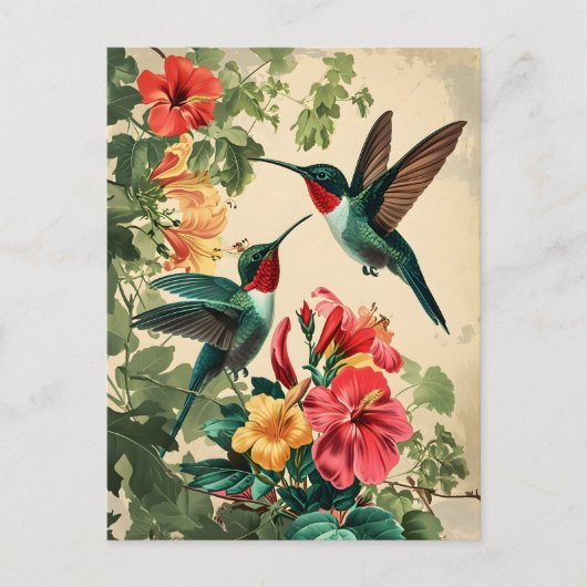 Colibri et fleurs : Carte postale Vintage (Devant)