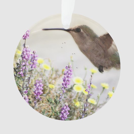 Colibri et fleurs sauvages Art numérique (devant)