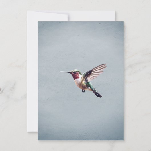Colibri et Hibiscus | Programme de mariage bleu (Dos)