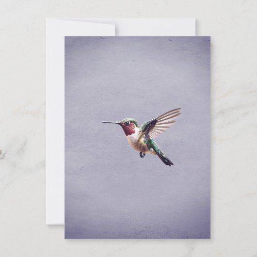 Colibri et Hibiscus | Programme de mariage violet (Dos)