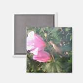 Colibri et Rose de Sharon Magnet (Recto/Verso)