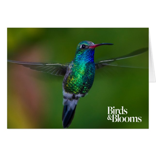 Colibri flottant (Devant horizontal)