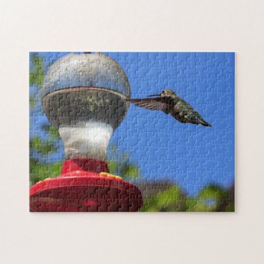Colibri inspectant un puzzle de conducteur (Horizontal)
