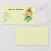 Colibri, Oiseau, Nature, Faune, Carte de visite (Devant / Derrière)