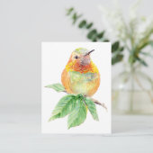Colibri, Oiseau, Nature, Faune, Carte postale (Debout devant)