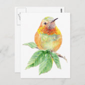 Colibri, Oiseau, Nature, Faune, Carte postale (Devant / Derrière)