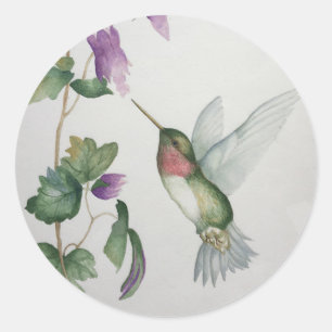 Colibri Rond Sticker Jardin Fleur