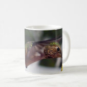 Colibri Rufous - tasses (Devant droit)