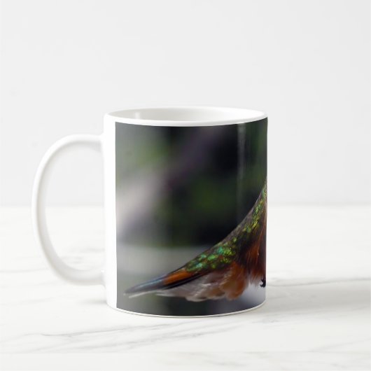 Colibri Rufous - tasses (Gauche)