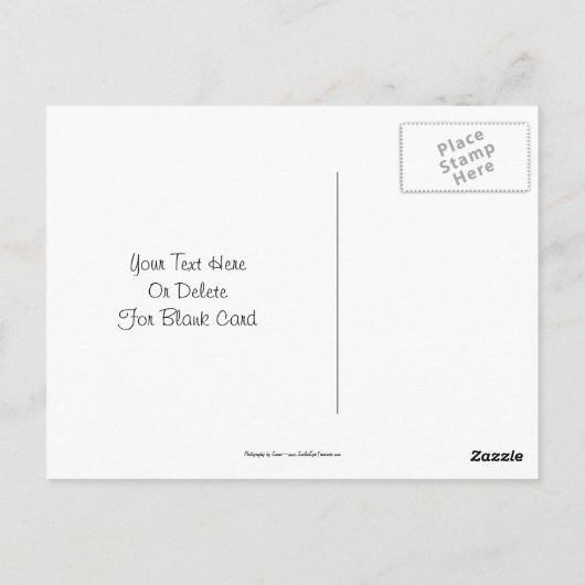 Colibri Sur Carte Postale Iris Flower (Dos)