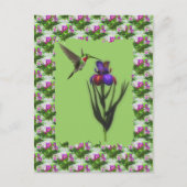 Colibri Sur Carte Postale Iris Flower (Devant)