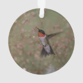 colibri throated rouge (dos)