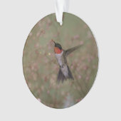 colibri throated rouge (devant)