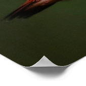 Colibri vers de la bible Philippians 1:11 Poster (Coin)