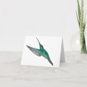 Colibri vert turquoise (Devant)