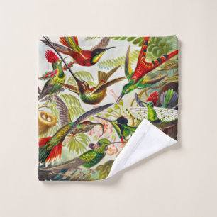 Colibri Vintage par Ernst Haeckel