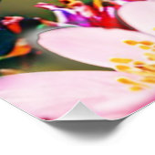 Colibri volant vers des fleurs Poster brillant (Coin)