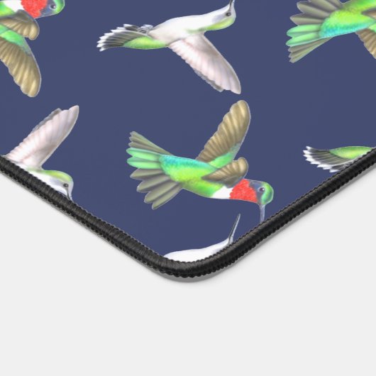 Colibris à gorge rubis (Coin)