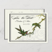 Colibris et Tourbillons - Carte de sauvegarde de l (Devant / Derrière)