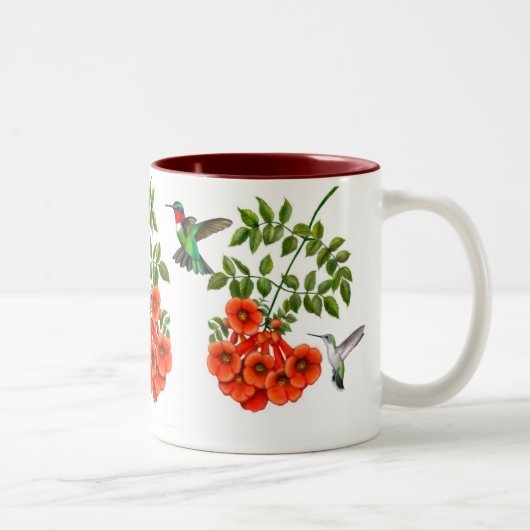 Colibris Throated rouges sur la tasse de plante (Droit)