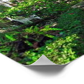 Colima, Mexique Poster 14"x11" (Coin)