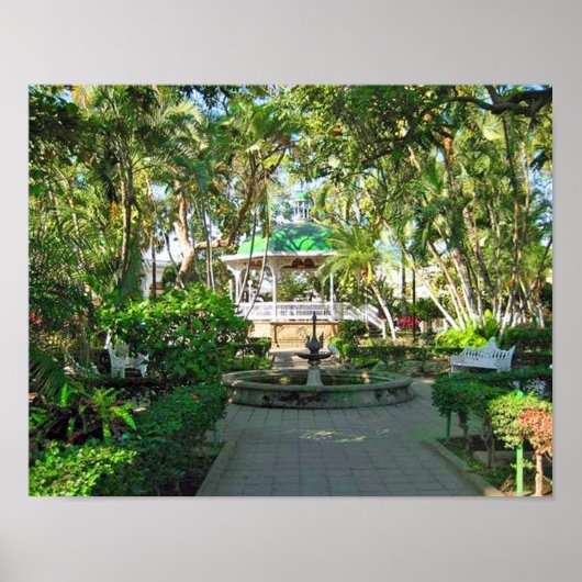 Colima, Mexique Poster 14"x11" (Devant)