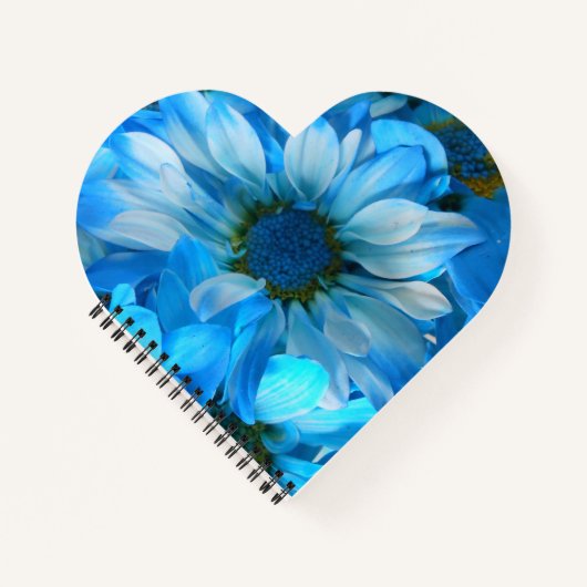 Collaert Notitieboek (Voorkant)