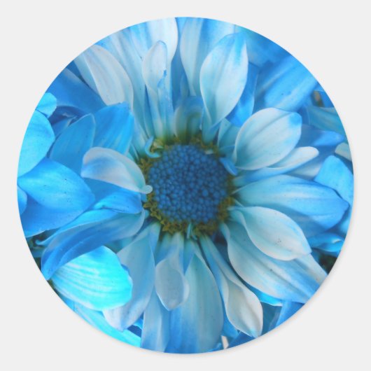 Collaert Ronde Sticker (Voorkant)