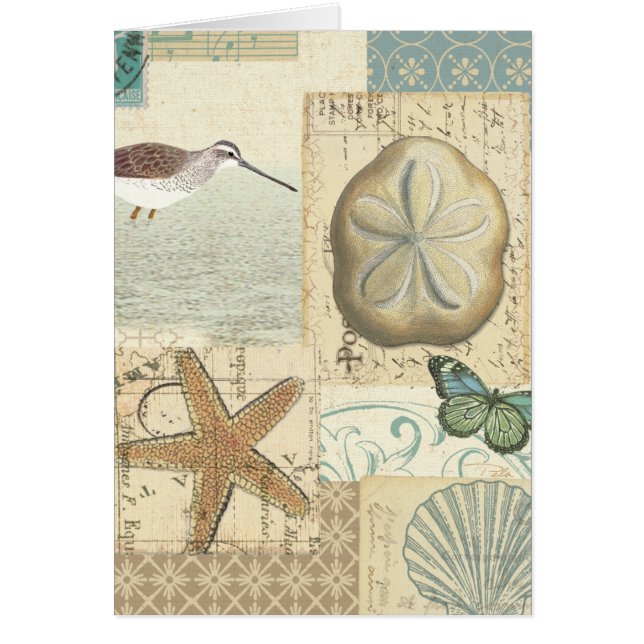 Collage côtier (Devant)