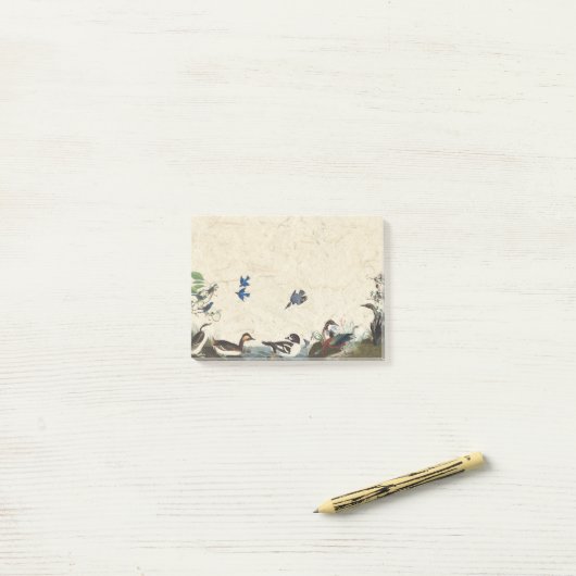 Collage d'Audubon des notes de post-it de faune (Sur un bureau)