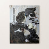 collage de border collie de puzzle de photo (Vertical)