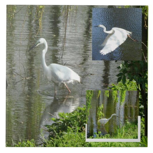 Collage de carreau de céramique d'aigrette (Devant)