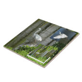 Collage de carreau de céramique d'aigrette (Côté)