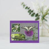 Collage de carte postale DIY Papillon jaune (Debout devant)