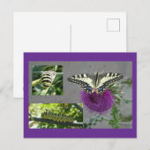Collage de carte postale DIY Papillon jaune (Devant / Derrière)