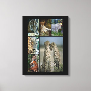 Collage de chats sauvages Toile enveloppée