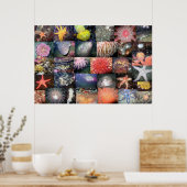 Collage de créations sous-marines - Impression d'a (Cuisine)