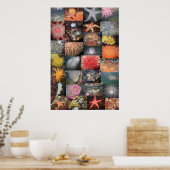 Collage de créations sous-marines - Impression d'a (Cuisine)