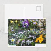 Collage de fleurs printanières colorées carte post (Devant / Derrière)
