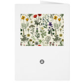 Collage de fleurs sauvages (Dos)