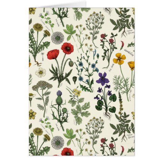 Collage de fleurs sauvages (Devant)