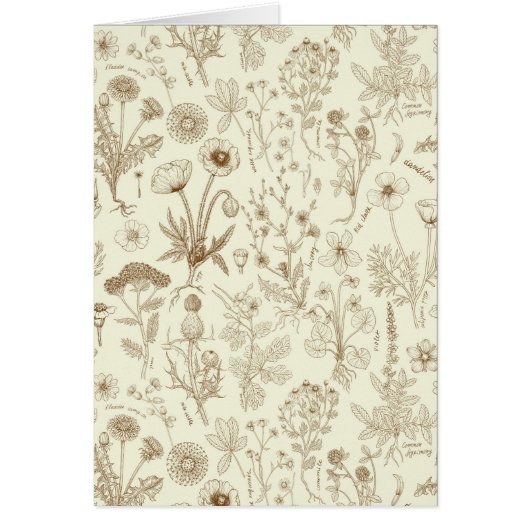 Collage de fleurs sauvages / beige et sépia (Devant)
