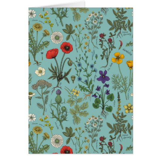 Collage de fleurs sauvages sur fond bleu (Devant)