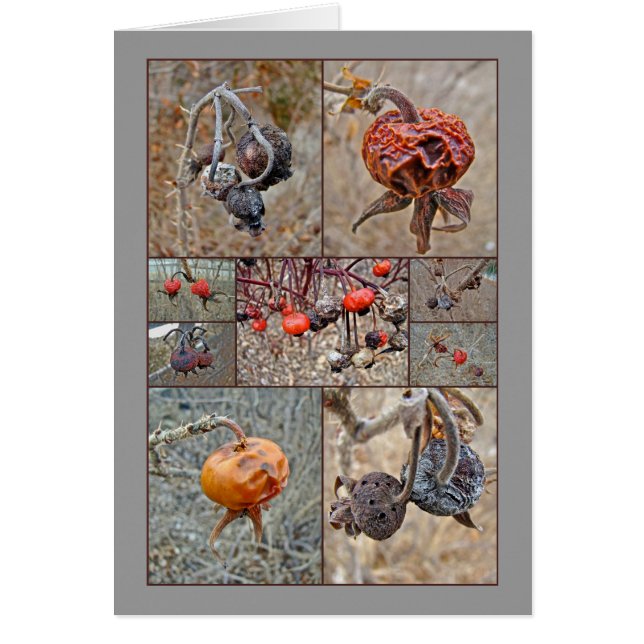 Collage de hanche rose (Devant)