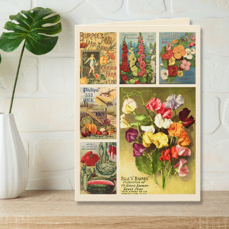 Collage de paquets de semences Ferme à fleurs Vint