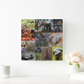 Collage de photos d'animaux australiens, Horloge m (Maison)