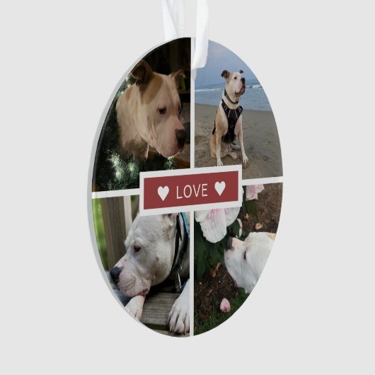 Collage de photos d'animaux de compagnie avec symp (devant)