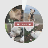 Collage de photos d'animaux de compagnie avec symp (devant)